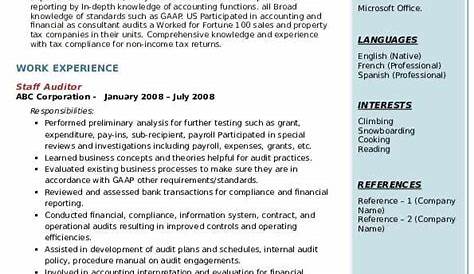 Professional Auditor Resume Examples | Accounting | LiveCareer