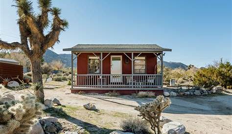 Desert Saga architect-designed cabin Joshua Tree USA