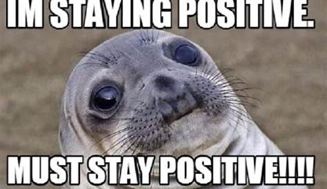 Unveiling The Power Of Positivity: Discoveries In Staying Positive Memes