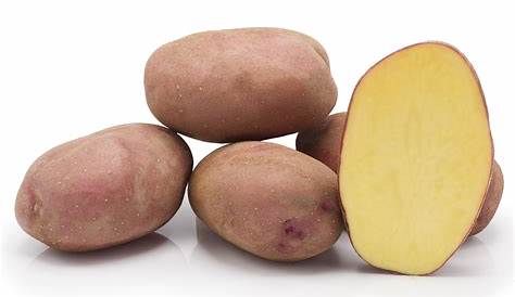 Comment réussir vos pommes de terre (3-Soins et récolte) - Jacky La