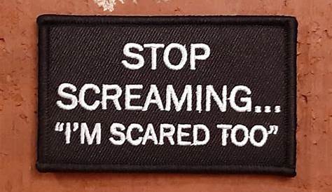 Stop Screaming I'm Scared Too 9 x 2.7 or 10 x 3 Sticker Magnet or