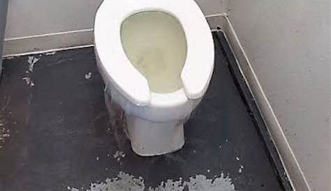 Stopped up the toilet : r/poop