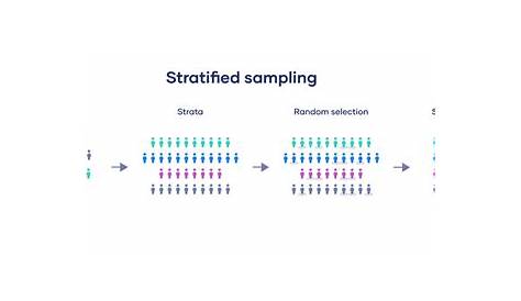 Stratified Sampling Examples In Statistics Is Population Divided Categories Then Surveyed