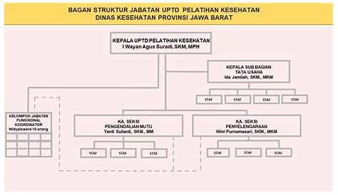 Struktur Organisasi Pemerintah Daerah