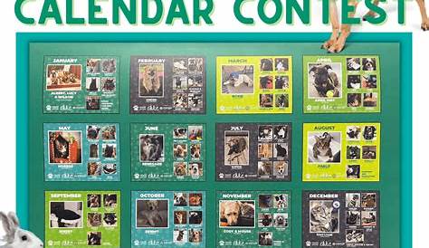 Stunning Pets Calendar 2024