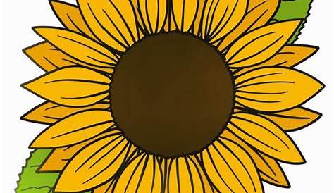 How To Draw A Sunflower Step By Step Easy | AESTHETIC DRAWING