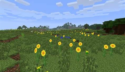 Sunflower Plains Minecraft