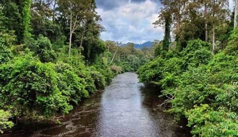 Mengenali Sungai - Sungai di Malaysia yang Fenomenal - Befree Blog