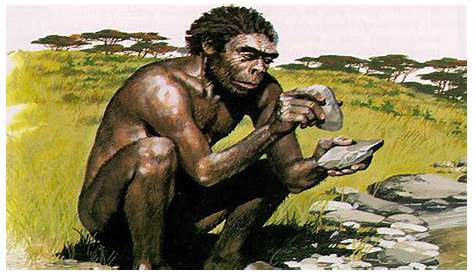 Homo habilis no Pinterest | Evolução humana, Evolução e Pré-história