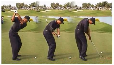 Swing 2000 Tiger Woods' Golf Circa Golfswing Golfer