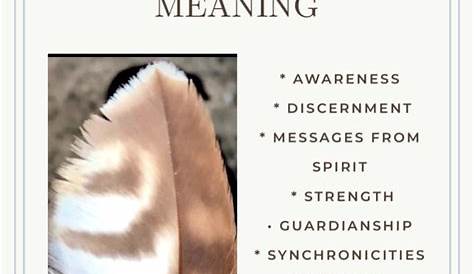 The Spiritual and Symbolic Meaning of a Hawk Feather