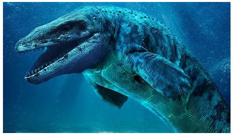 Sea Monsters: Fact or Non-Fiction? | 22MOON.COM