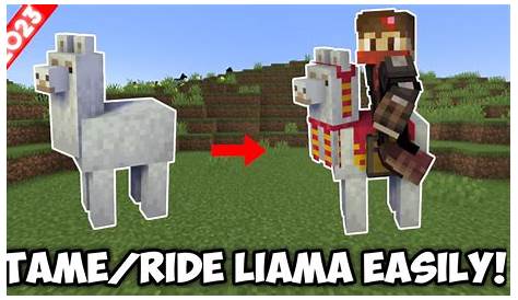 How To Tame And Ride A Llama In Minecraft YouTube