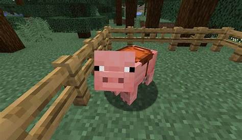 Tame Pigs Minecraft