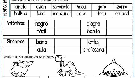 Tareas, ejercicios y actividades de lengua para niños de tercer grado