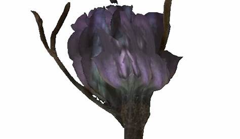 Tato flower - The Vault Fallout Wiki - Everything you need to know