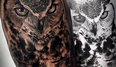 Tattoo Buho Espalda Hombre Image Portfolio Mens Owl , Owl , Realistic