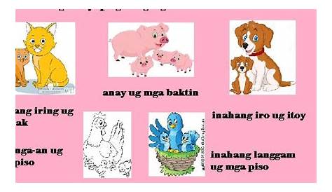 Let’s normalize being a godparent sa anak na hayop (literal) ng mga