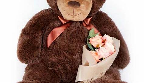 Valentine's Day Teddy Bear Gift | Home delivery