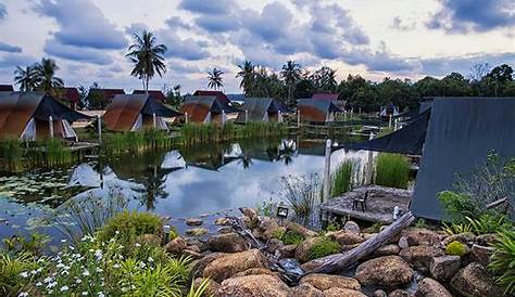 The Most Scenic Places to Go Camping in Malaysia