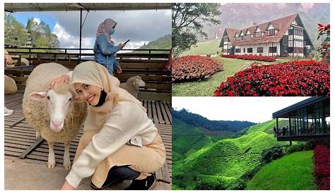 10 Tempat-tempat Menarik Di Malaysia: October 2016