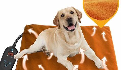 Top 10 Best Electric Heated Dog Bed : Reviews & Buying Guide - Katynel