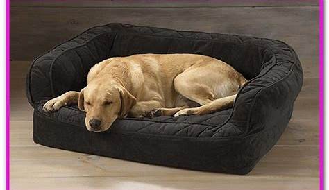 Serta Tempur Pedic Dog Bed Everything you need to comfort your pet