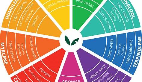 Cannabis Terpenes Australia Guide Terpenes Meaning, Legal & Products