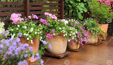 Terrace Flower Pots