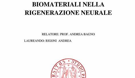 Tesi Di Laurea Ingegneria | PDF