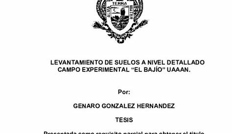 (PDF) FORMATO PARA TESIS DE LA NARRO LAGUNA; POR SUBDIRECCIÓN DE