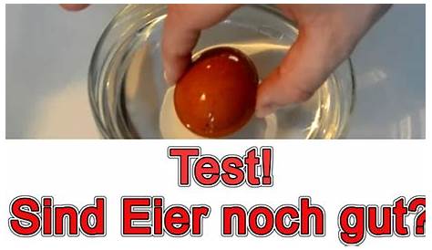 Gute Eier / Faule Eier | Der Test | Wie erkennen ob ein Ei noch gut ist