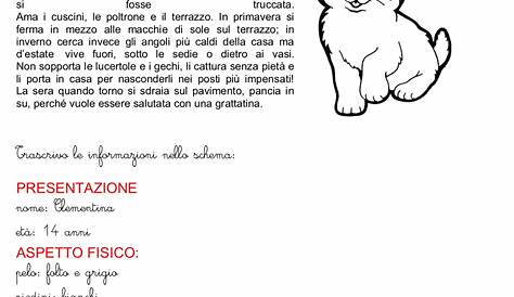 Schede didattiche di italiano: le sequenze del testo narrativo