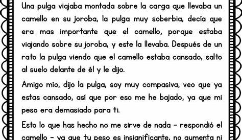 Textos cortos para trabajar la comprensión lectora La comprensión