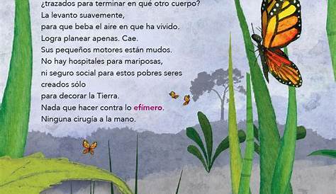 Texto primer año (grado) egb by Sandra Nowotny - Issuu