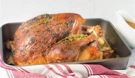 Thanksgiving Turkey Recipes Oven Bag