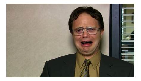 DWIGHT SCHRUTE: The Office character - NBC.com