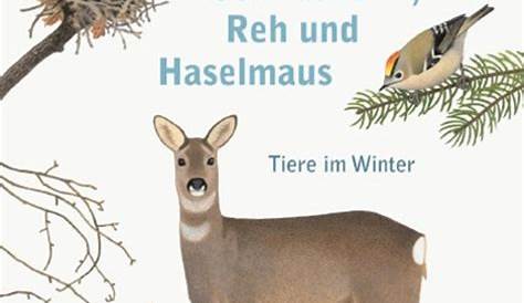 Suchergebnis auf Amazon.de für: tiere im winter bilderbuch: Bücher