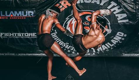 Tiger Muay Thai - The Biggest Thai Boxing/MMA/Fitness Camp in Phuket.