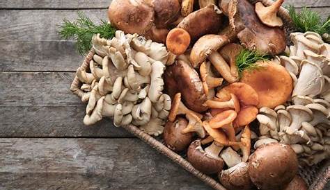 Dieta, mangiare funghi potrebbe ridurre il rischio di cancro alla