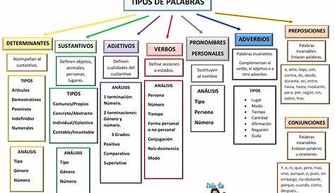 Ejercicios Tipos De Palabras Primaria PDF - Lengua