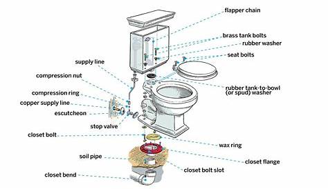 Toilet Diagram | Plumbing contractor, Toilet, Plumbing