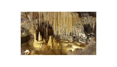 Les grottes préhistoriques - Fédération Française Tourisme Souterrain
