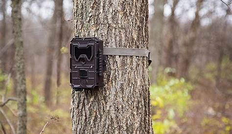 10 Best Trail Cameras That Send Pictures To Your Phone [Reviews & Guide]