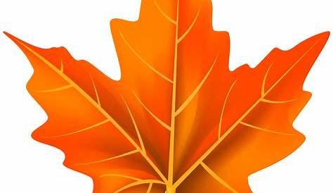 Orange leaf flat - Transparent PNG & SVG vector file
