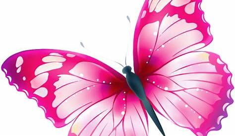 Pink Butterfly, Clip Art, Stickers, Animals, Pink Garden, - Pink