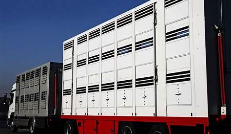 Transporte de animales vivos: normativa para la desinfección