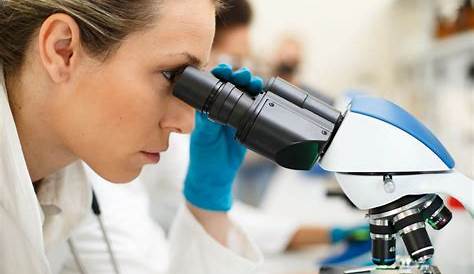 Recherche Scientifique Femelle Team Using Microscopes Dans Le