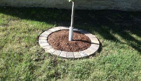 Tree Ring Edging Ideas Lawn For Landscape Blog
