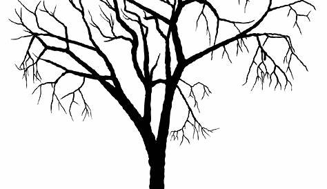 Black tree silhouette on white Stock Photo by ©NikitinaOlga 10515275